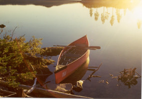 Ally Faltkanu - www.denk.com