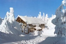 Berggasthof Dreisessel auf 1330 Meter Höhe